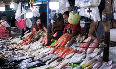 seafood supplier manila|Fresh Seafood Delivery .